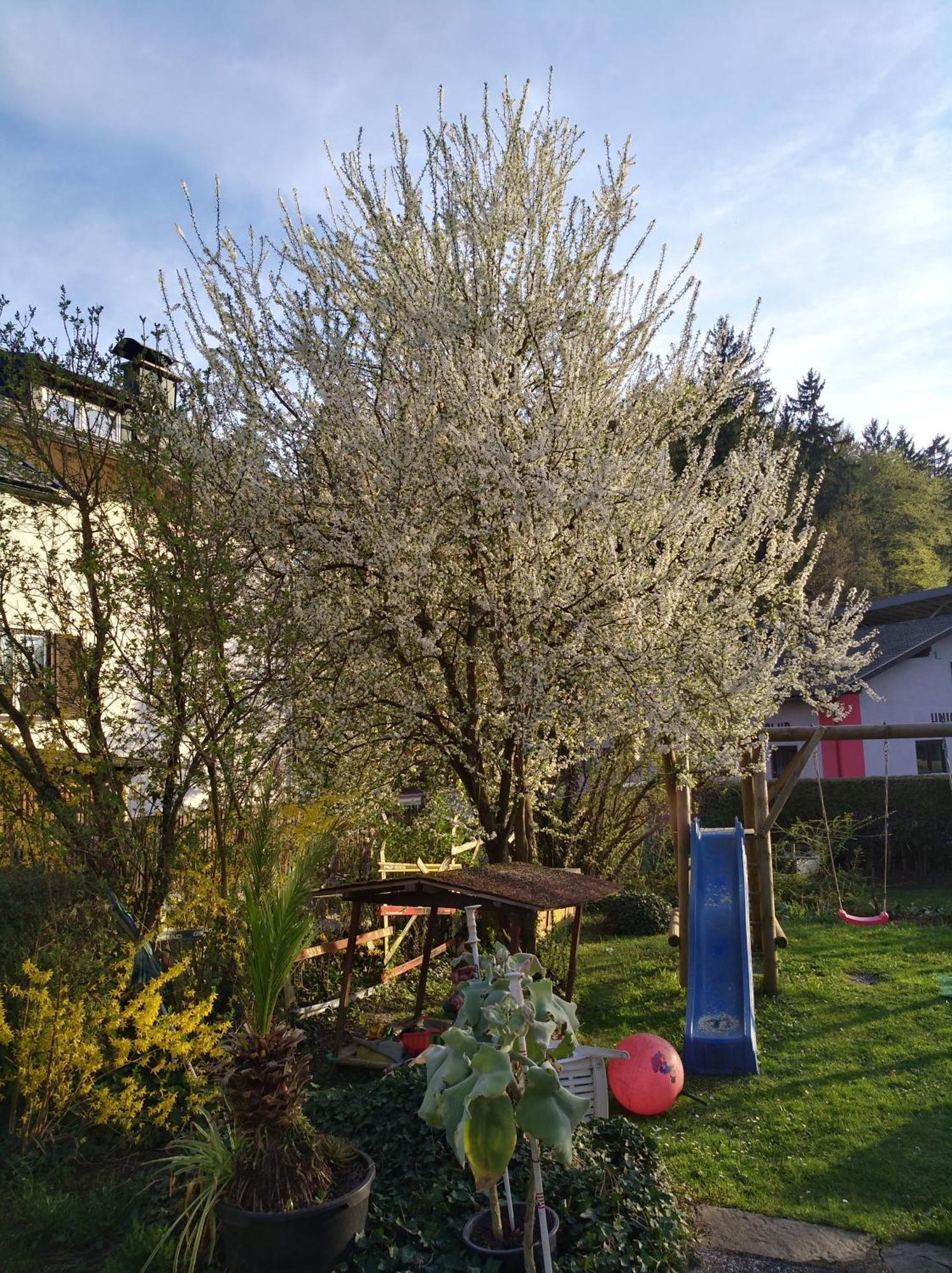 Apartament Haus Friedburg Velden am Wörthersee Zewnętrze zdjęcie